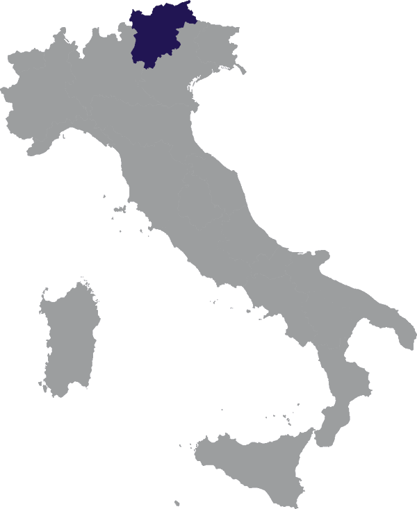 Landkaart Italië grijs met regio Trentino-Zuid-Tirol donkerblauw op transparante achtergrond - 600 * 733 pixels